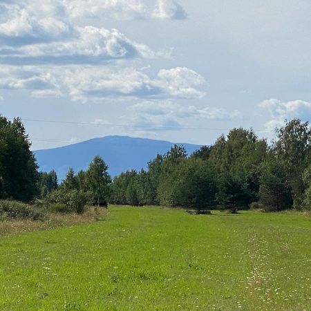 Goralskie Domki U Topora Czarny Dunajec Exterior foto